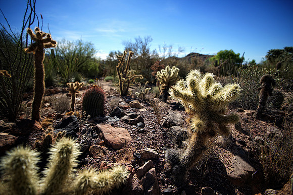 Apache Trail, AZ