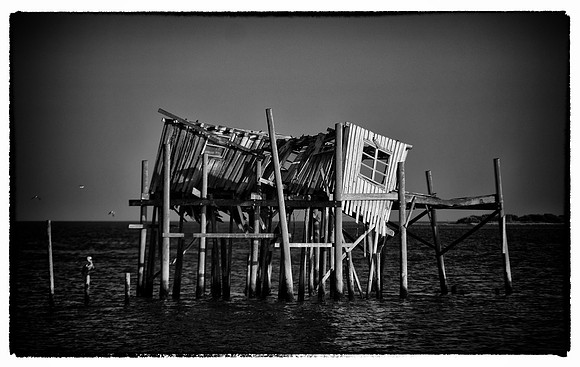 Cedar Key