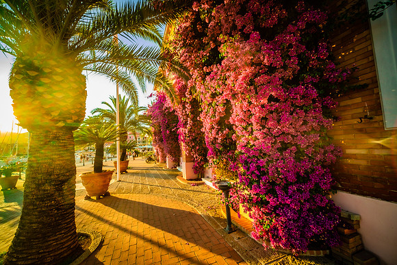 Porto Azurro