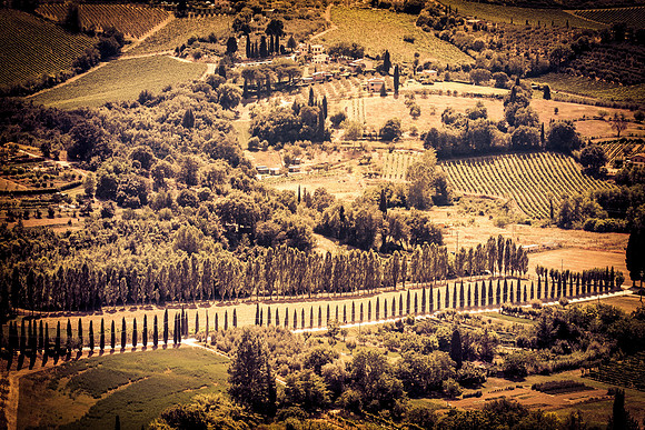 Tuscan landscape