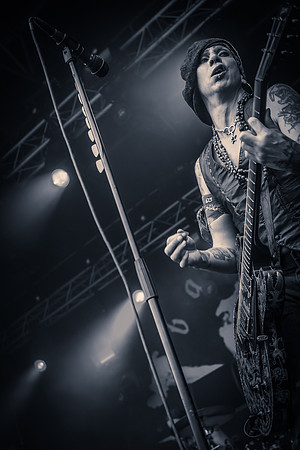 Backyard Babies