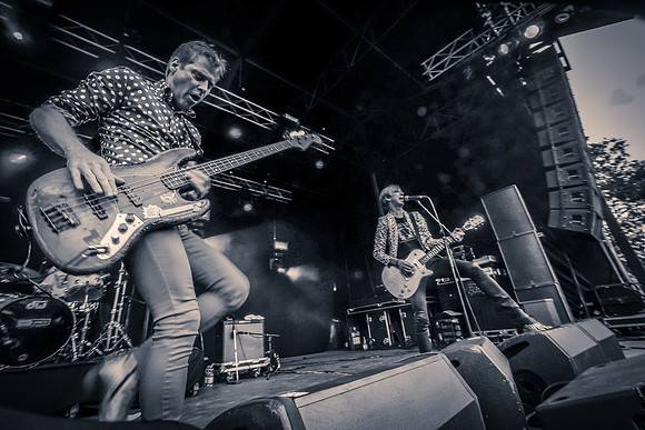 Fleshtones