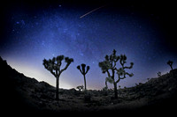 Joshua Tree National Park