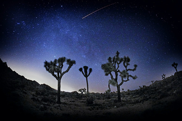 Joshua Tree National Park