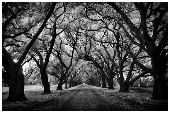 Evergreen Plantation