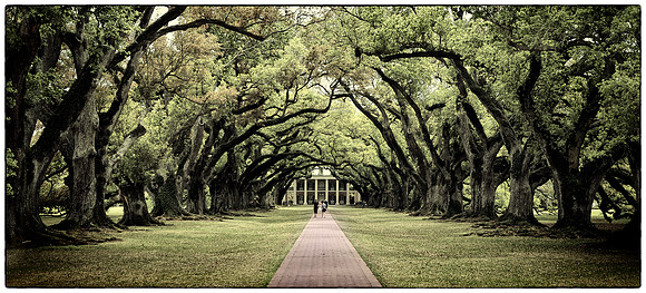 Oak Alley Plantation