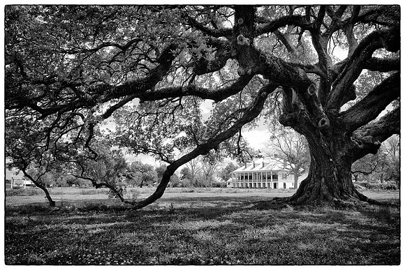 St Joseph Plantation