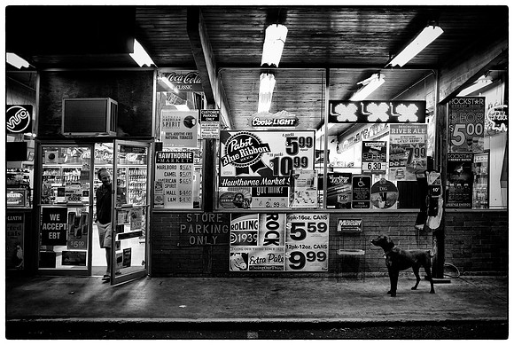 portland oregon_dog_7432