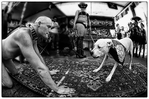 folsom street fair - san francisco_woof_02912