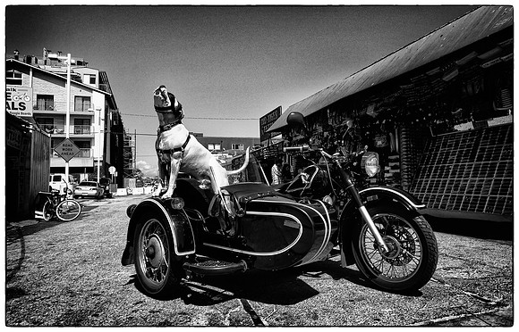 venice_california motordog_07601-2