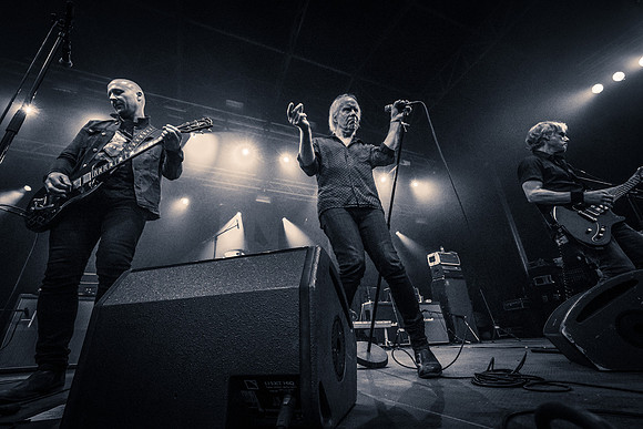 Radio Birdman