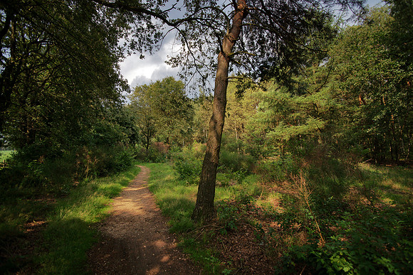 Nationaal Park de Meinweg