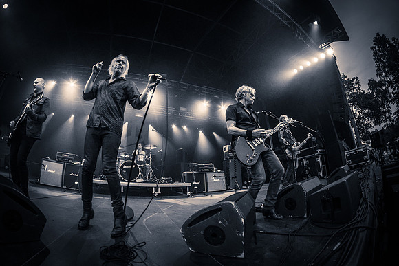 Radio Birdman