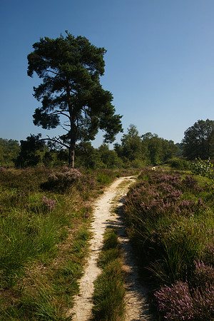 Nationaal Park de Meinweg