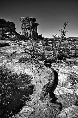 The Needles, Canyon Lands NP, UT