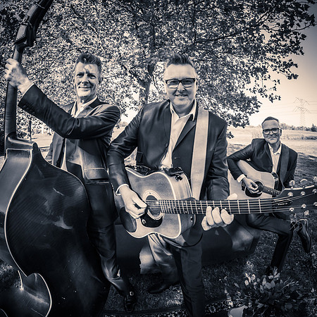 groovy gents -3445-2