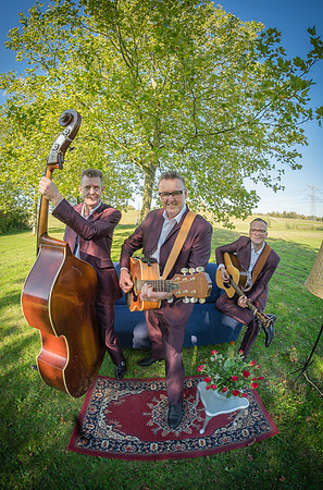 groovy gents -3462