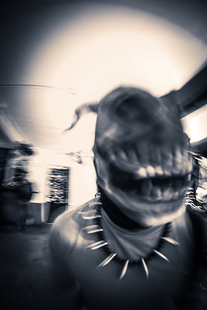 Terrorsaurs