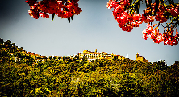 Poggio