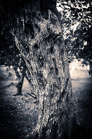 Agrigento