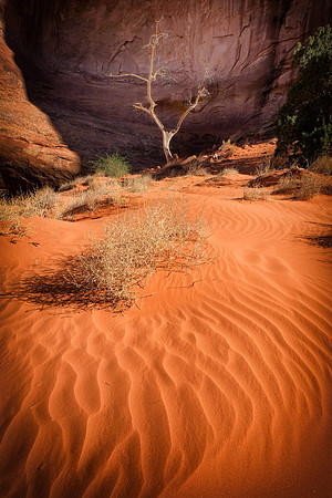 Monument Valley