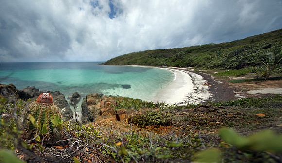 La Econida Vieques