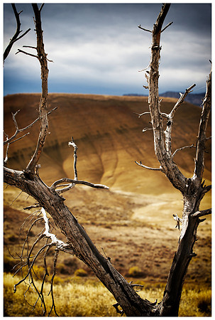 John Day Fossil Beds National Monument