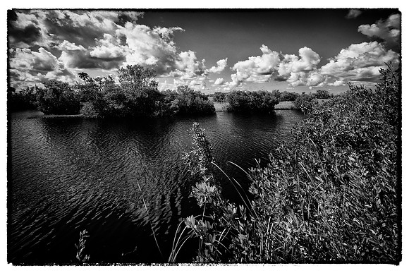 Everglades