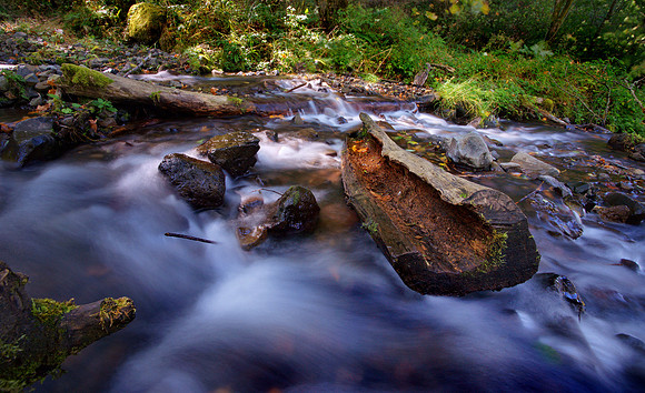Wahclella Fall, OR