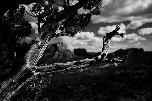 Sedona, AZ