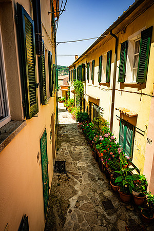 Poggio