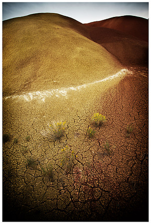 John Day Fossil Beds National Monument