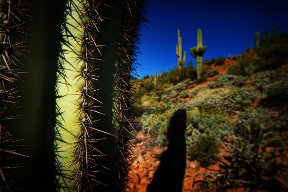 Apache Trail, AZ