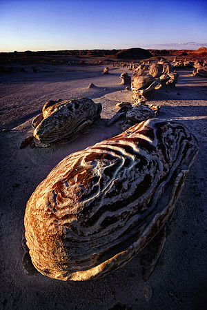 Bisti Badlands, NM