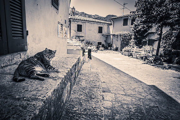 Poggio