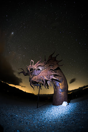 Serpent, Anza Borrego