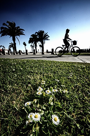 Santa Monica