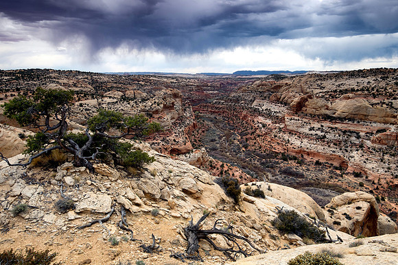 Grand Staircase Escalante