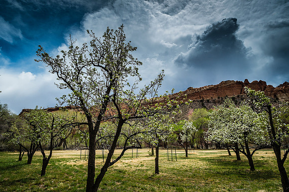 Fruita, Capitol Reef NP