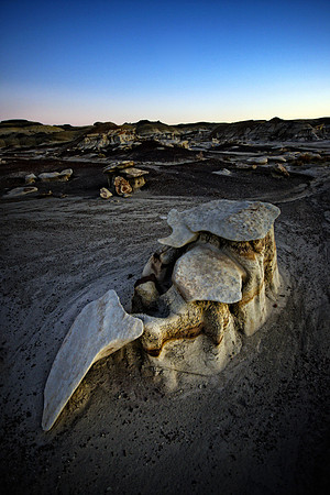 Bisti Badlands, NM