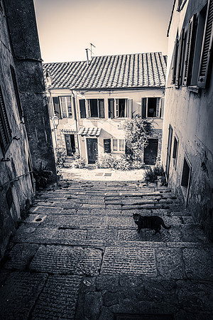 Poggio