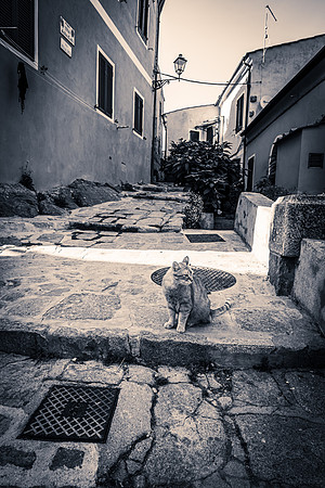 Poggio