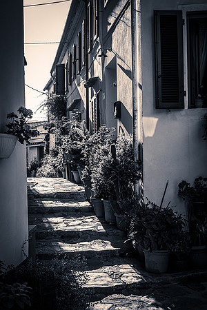 Poggio